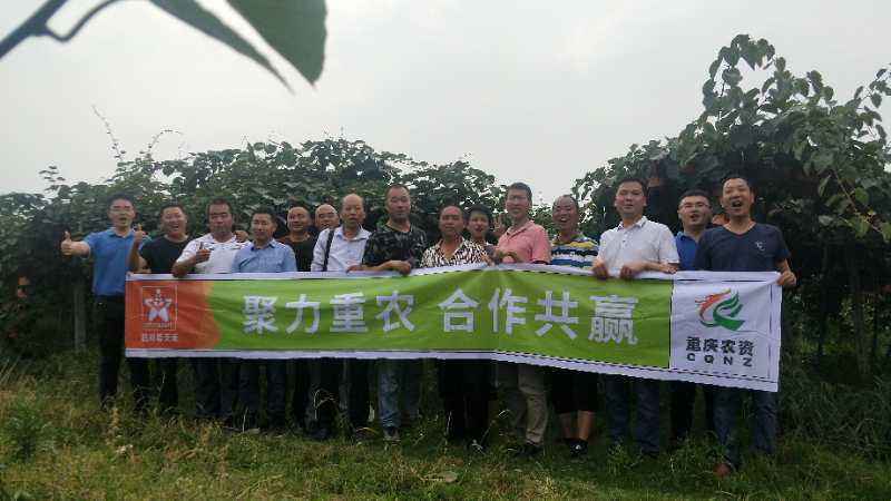 1530084674514188.jpg 圖片1.jpg
