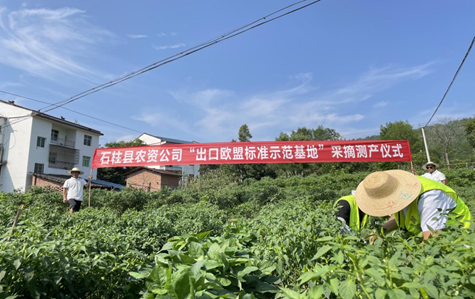1660544528747097.png image.png