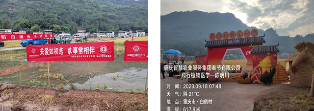 1695864823531070.png image.png